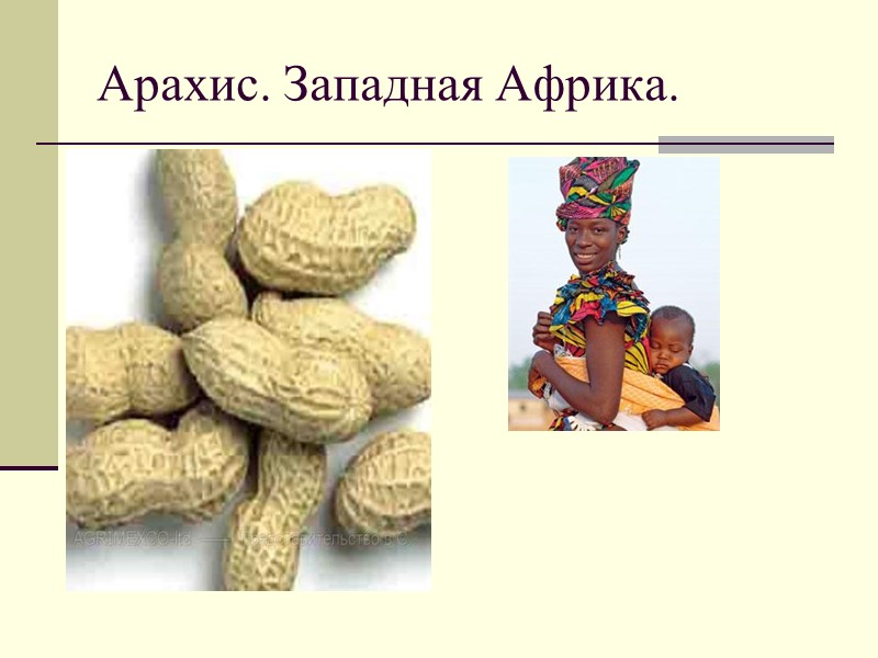 Арахис. Западная Африка.